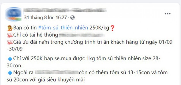 Tôm sú nặng ngang tôm hùm xanh sụt giá, ở đâu bán rẻ?