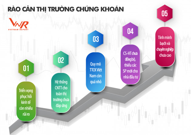 Top 50 Công ty Đại chúng uy tín và hiệu quả năm 2021