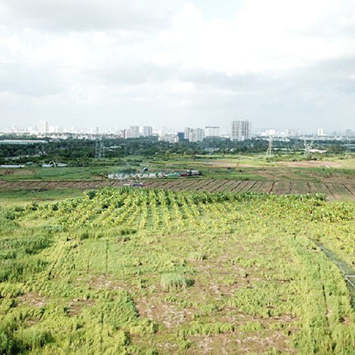 TP.HCM sắp có dự án nhà giá rẻ cho công nhân quy mô 15ha ở vùng venicon