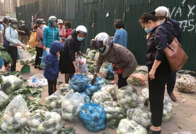 Trái cây dội chợ giá rẻ hơn rau, bán cả chục tấn/ngày