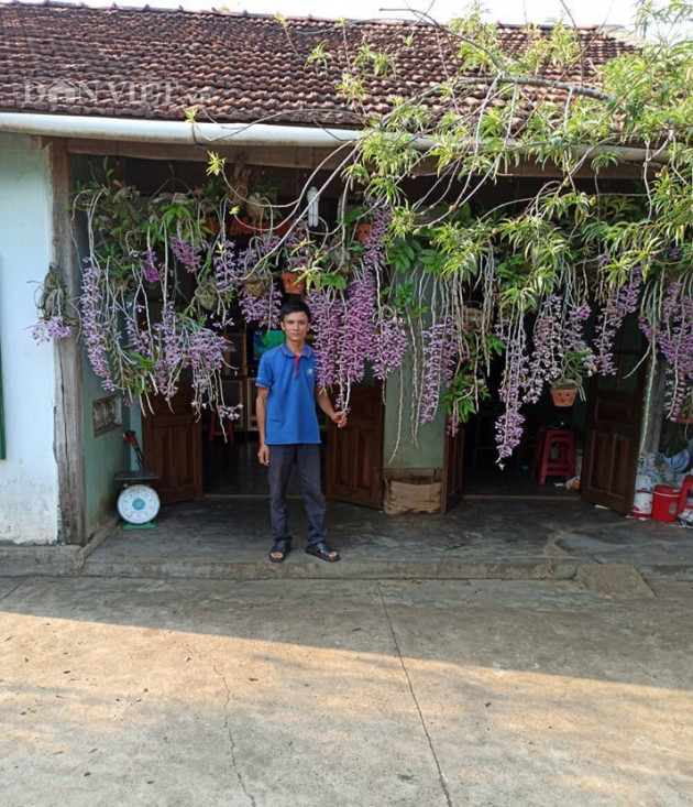 Trai Đắk Nông khoe giò lan rừng phi điệp tím 'khủng', dân mạng sốt rần rần