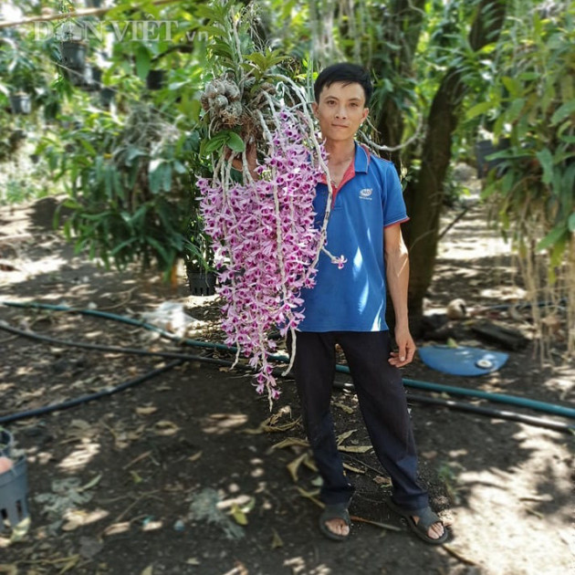 Trai Đắk Nông khoe giò lan rừng phi điệp tím 'khủng', dân mạng sốt rần rầnicon