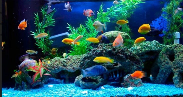 Trang trí nhà theo quy tắc phong thủy để thay đổi vận mayicon