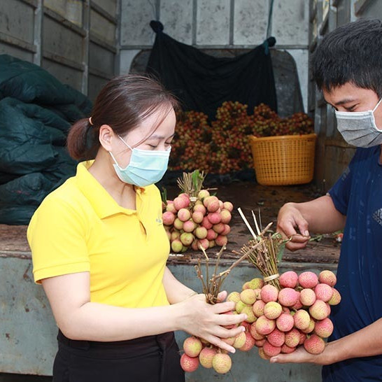 Trên đồi vải, dưới ruộng dưa: Cuộc đua lợi thế sân nhà, sức mạnh tiền đôicon