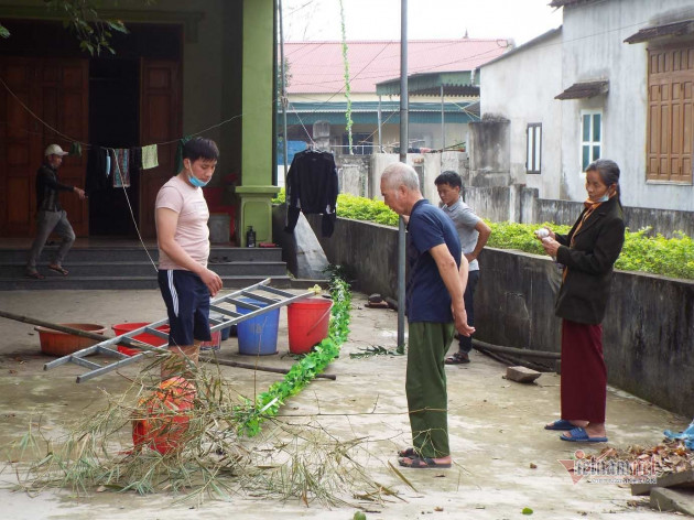 Trồng cây 'đuổi quỷ', xuân sang hạ bán thu tiền triệu ăn Tết