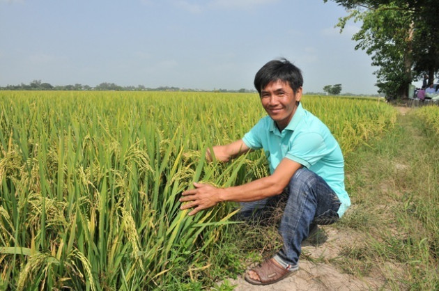 Trồng cây kỳ lạ, lúa ăn trứng gà, dâu tây uống sữa tươiicon