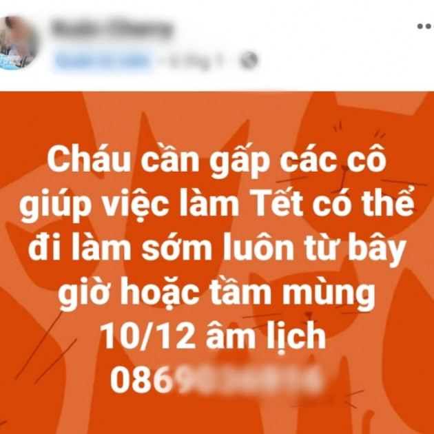 Trông nhà, giúp việc ngày Tết: Lương cả triệu đồng/ngày vẫn khó tìm ngườiicon