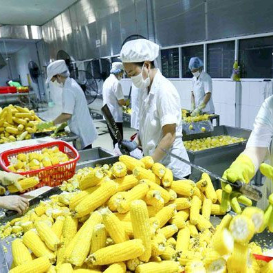 Trụ đỡ vững vàng, tự tin chốt số thu về 44 tỷ USDicon