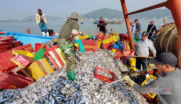 Trúng đậm đầu năm, thu hàng trăm tỷ dân vẫn hốt hoảng lo sợ