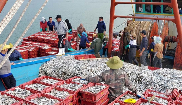 Trúng đậm đầu năm, thu hàng trăm tỷ dân vẫn hốt hoảng lo sợ