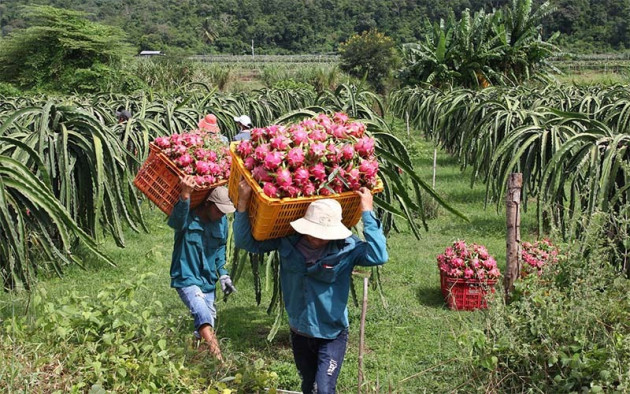 Trung Quốc dựng nhiều rào cản, bạn hàng tỷ dân ngày càng khó tính