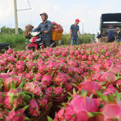 Trung Quốc thêm quyết định bất lợi, Việt Nam thêm 1 mặt hàng bế tắcicon