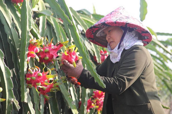 Trung Quốc vẫn 'đóng cửa', Bộ Công thương ra khuyến cáoicon