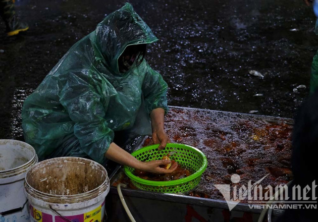 Trước ngày ông Táo lên trời, cá chép nhuộm đỏ chợ cá lớn nhất Hà Nội