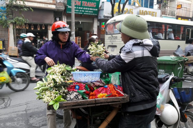 hoa bưởi,bưởi Diễn