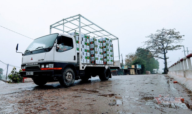 Từ tâm dịch Hải Dương thông hàng sang Hàn Quốc: Bán giá cao hiếm thấy