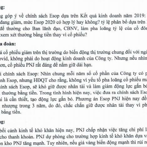Túi tiền hao hụt, cổ đông ngoại quay mặt, đấu lại lãnh đạo Việticon