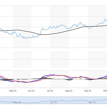 Tỷ giá USD, Euro ngày 1/1: USD tăng đầu năm 2022icon