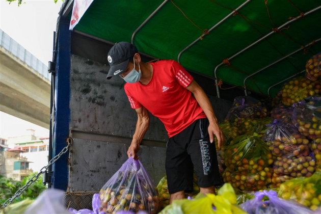 Vải Bắc Giang vượt 'vòng vây' về Hà Nội, dân gọi nhau giải cứu