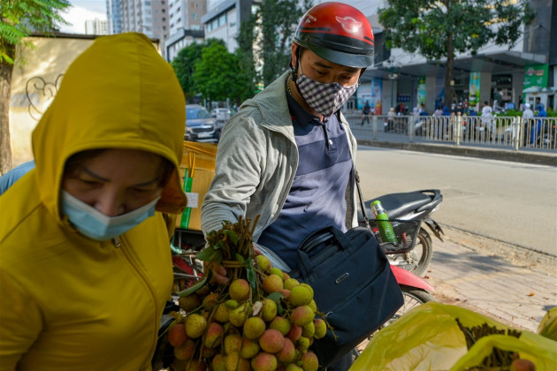 Vải Bắc Giang vượt 'vòng vây' về Hà Nội, dân gọi nhau giải cứu