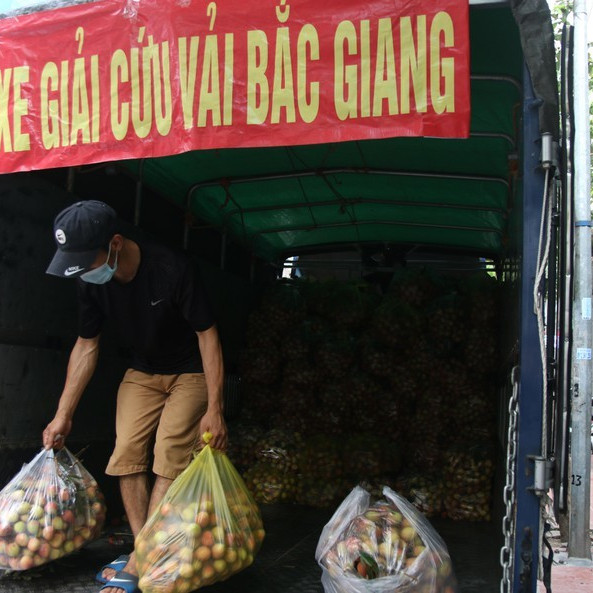 Vải Bắc Giang vượt 'vòng vây' về Hà Nội, dân gọi nhau giải cứuicon