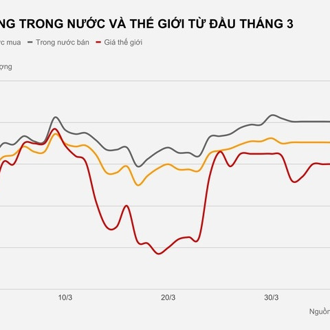 Vàng quay đầu giảm, người mua lỗ 1,4 triệu/lượng sau một đêmicon