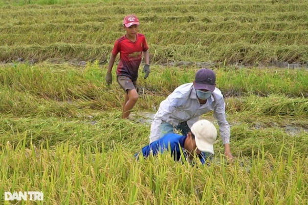 Về miền Tây xem cảnh bắt chuột đồng cực thú vị