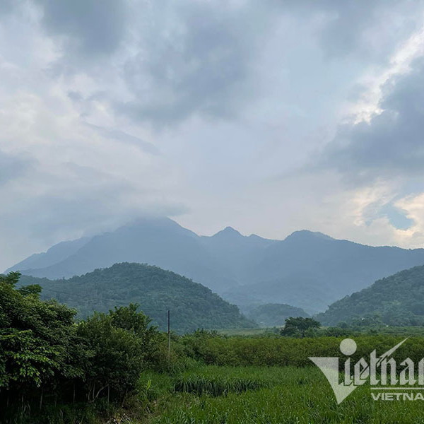 Về quê ăn Tết, giật mình giá đất tăng 'dựng đứng'icon