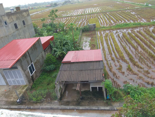 'Về quê nuôi cá và trồng rau', giấc mơ xa vời với người trẻ khi giá đất ở quê đắt ngang ngửa Hà Nội - 1