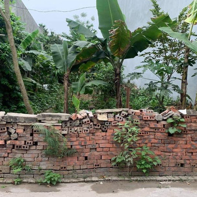 'Về quê nuôi cá và trồng rau', giấc mơ xa vời với người trẻ khi giá đất ở quê đắt ngang ngửa Hà Nộiicon