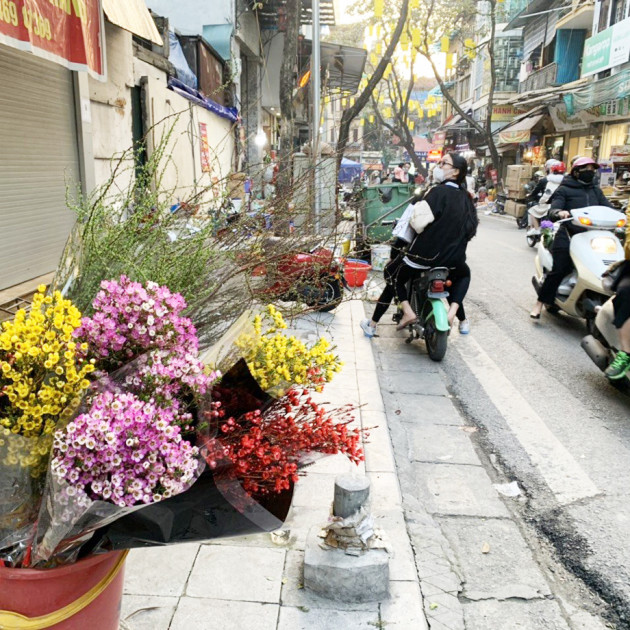 Hoa nhập từ Trung Quốc bày bán khá nhiều trên đường phố Hà Nội - ẢNH: BẢO KHANG