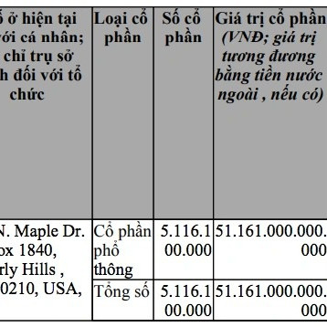 Việt kiều bỏ hơn 50.000 tỷ đồng góp vốn lập 'siêu công ty' ở Hà Nội là ai?icon