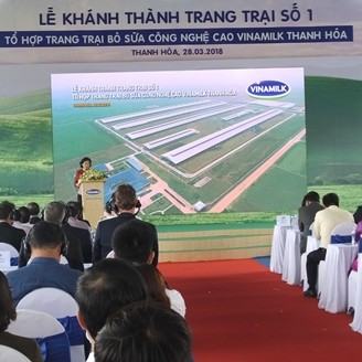 Vinamilk vận hành trang trại bò sữa công nghệ cao 700 tỷ đồng