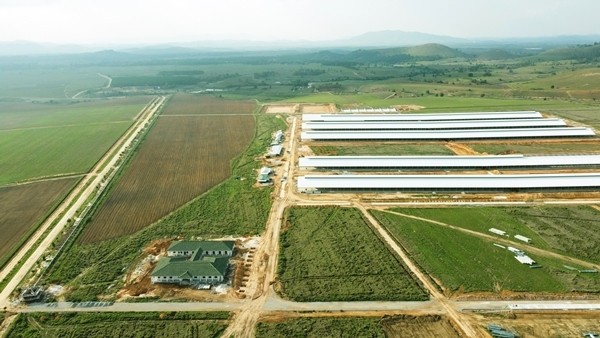 Vinamilk vững vàng trong top 10 doanh nghiệp niêm yết tốt nhất 2021