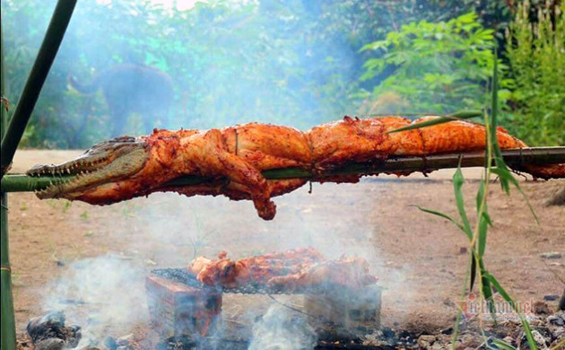 Vốn 10 triệu, cậu học sinh lớp 12 buôn thịt cá sấu lãi 50 triệu/tháng