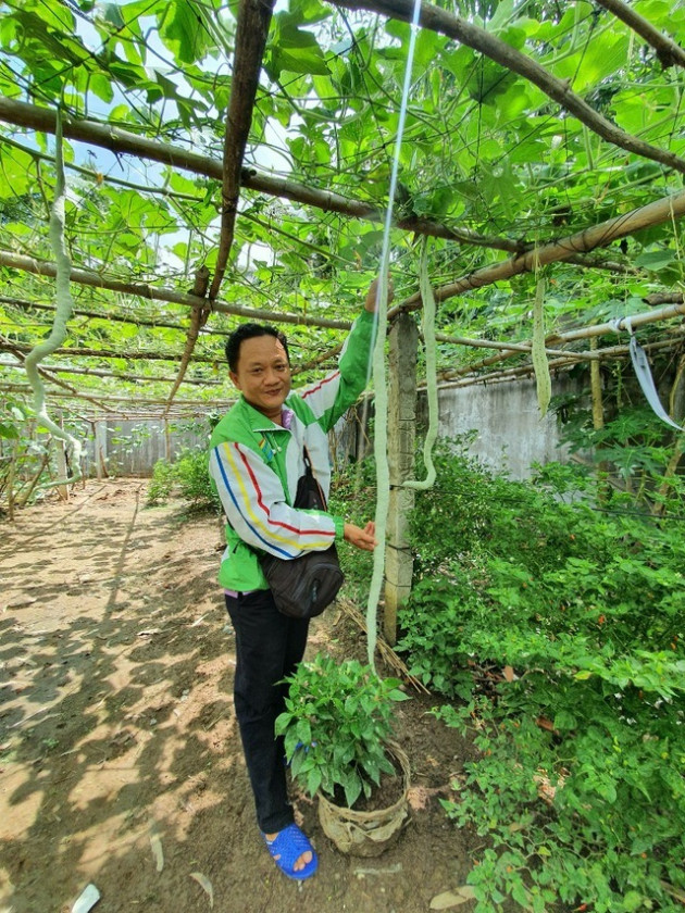 'Vua bầu khổng lồ' miền Tây sở hữu giàn mướp có trái dài đến 2m