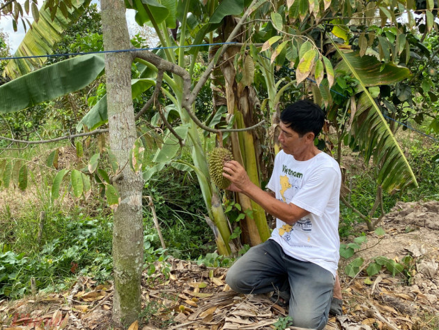 'Vua của các loại trái cây' đại hạ giá ở vỉa hè Sài Gòn, vì sao?