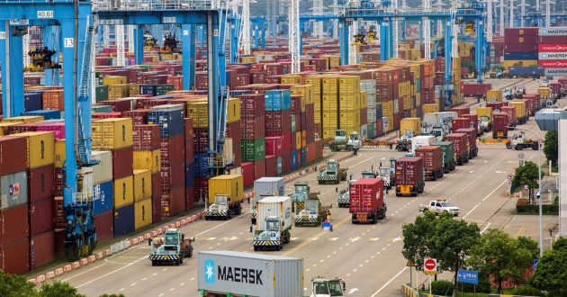 Vua tiêu suýt bị lừa 3 triệu USD và điểm giống vụ 100 container hạt điều - 3