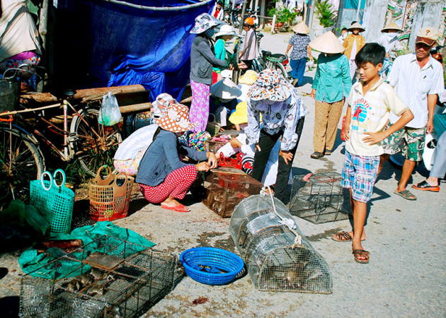 Vùng đất của các cao thủ bắt chuột, gửi thịt chuột đi khắp nơi