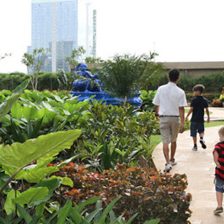 Vườn Nhật The Zenpark - ‘đặc quyền đẳng cấp’ của cư dân Vinhomes Ocean Park