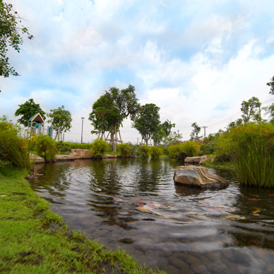 Yên bình ‘sống xanh’ ở các đô thị vệ tinh