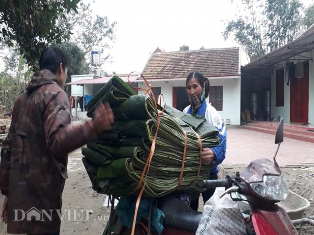 10 năm đi hái lá chuối rừng, mỗi ngày lãi 600-700 ngàn đồng1