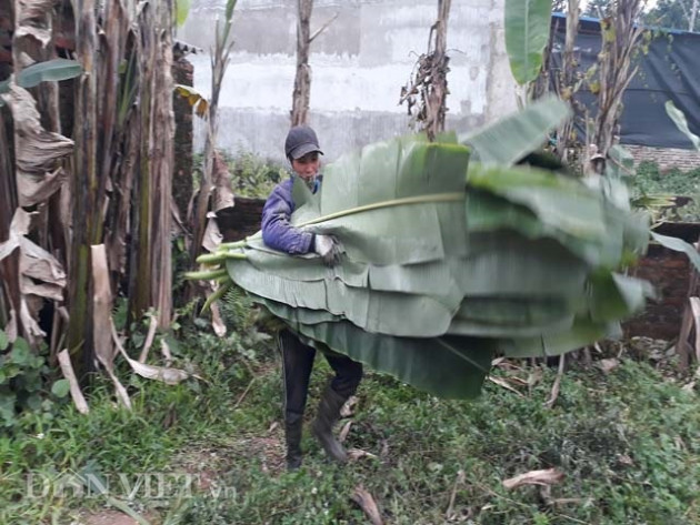 10 nam di hai la chuoi rung, moi ngay lai 600-700 ngan dong hinh anh 3