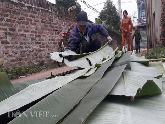 10 nam di hai la chuoi rung, moi ngay lai 600-700 ngan dong hinh anh 6