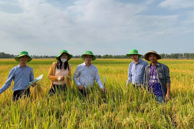 2 "ông lớn" ngành lúa gạo lên tiếng về việc tạm dừng xuất khẩu gạo3