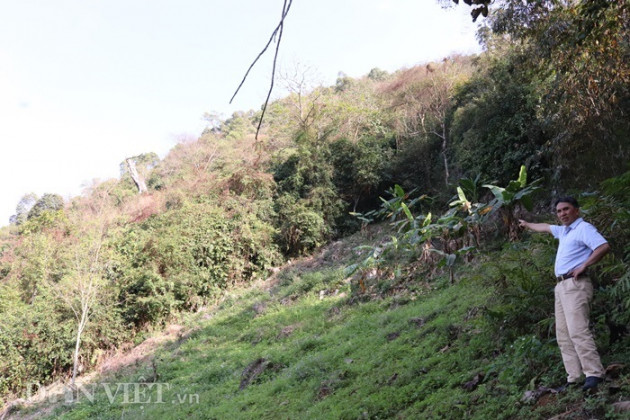 20 nam truoc "chon nhung cay vang" tren nui, gio giau nhat vung hinh anh 6