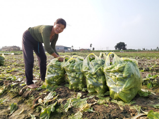 35 ca Covid-19, ngày mai, Bộ NNPTNT họp bàn cung ứng gạo, rau, thịt