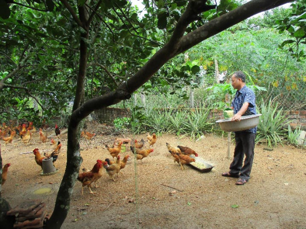 4 dac san noi tieng o que son duoc gan sao ocop la san pham gi? hinh anh 4