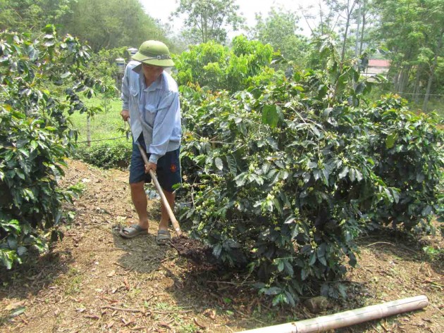 400 dai bieu du hoi nghi phan bon huu co lon nhat tu truoc den nay hinh anh 1