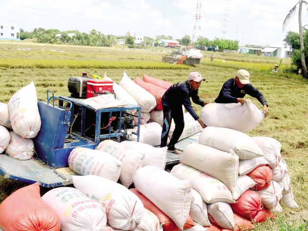 400.000 tấn gạo thông quan lúc nửa đêm và những việc khó hiểu